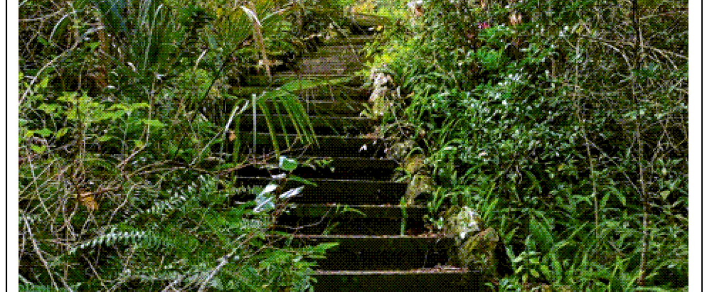 steps at Ravine Gardens